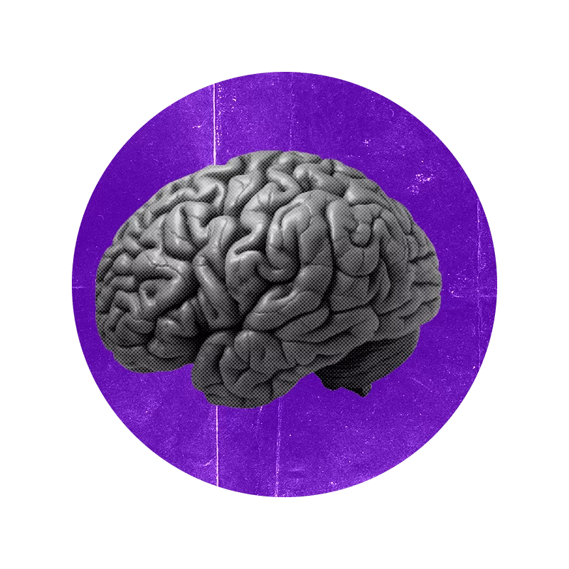 a grey brain in a purple circle